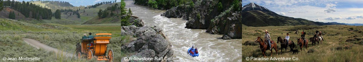 Summer Activities at Yellowstone Northern Range