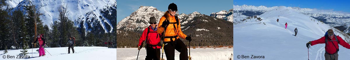 Winter Activities at Yellowstone Northern Range